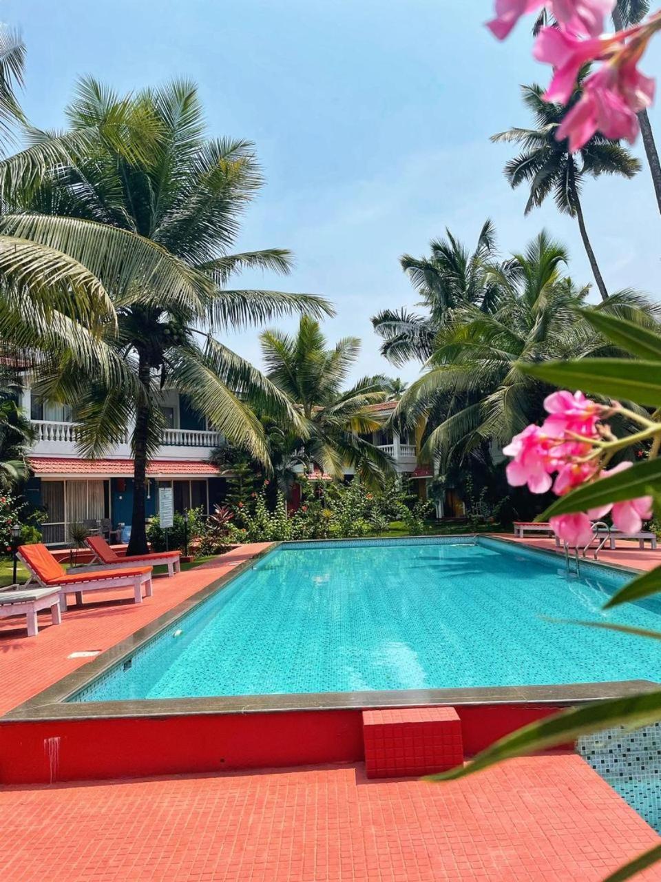 Kingfisher Blues Siolim Extérieur photo